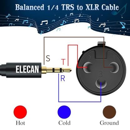 3.5mm (1/8 Inch) TRS Aux Male to XLR Female Cable 6 Ft, Balanced Professional Shielded Stereo Microphone Cable Cord, Gold Plated for DSLR Camera Mixer Headphones with 3.5 to 6.35mm Adapter+Ties - size: 6FT, style: 3.5mm to XLR Female