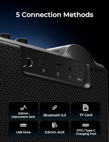 RIENOK 100W Portable Voice Amplifier with 2 Wireless Microphones S17 | Bluetooth 5.3 Big Pro Sound, Bluetooth PA System Karaoke Machine, BT/USB/TF Card/Aux/Guitar Support, Portable Speaker