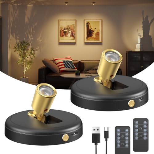 Spot Lights Indoor Led Spotlight: Rechargeable Battery Wireless Up Lights Indoor - Plants Tree Artwork Portrait Picture Display Accent Lighting for Home Decorators Homeowners Art Collectors(2 Pack) - size: 2 Pack (Warm White)