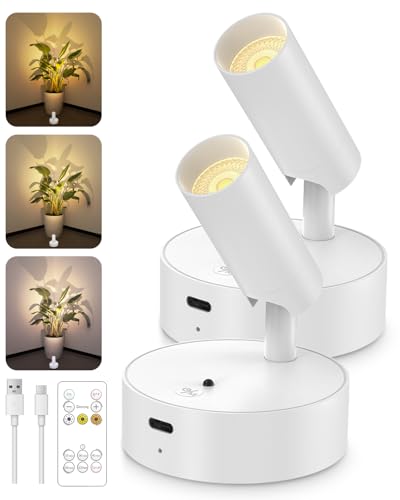 Spotlights Indoor with Remote, 3000Mah Rechargeable Wireless Plant Light | Up Lights with 3 Colors & Dimmer, Small LED Picture Lights for Painting, Artwork, Accent Lighting, 2 Pack White - color: White-3000mAh