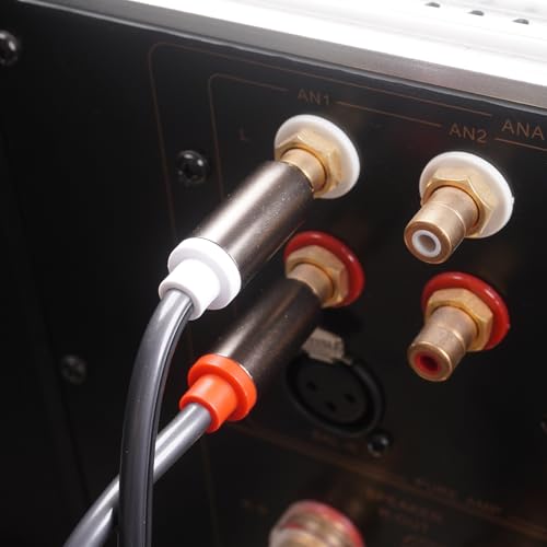 RCA to XLR HiFi Audio Cable 10 Feet, 2 RCA Male to 2 XLR Female, Black with Red/Black Tail, 4N OFC Wire and Gold-Plated Conductors for Amplifier, Mixer, Microphone - size: 10FT, style: 2 RCA Male to 2 XLR Female