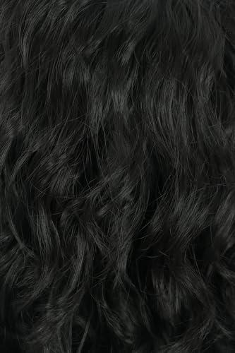 karlery California 70s 80s Rocker Wig Men Women Long Curly Black | Halloween Costume Wig - color: Black