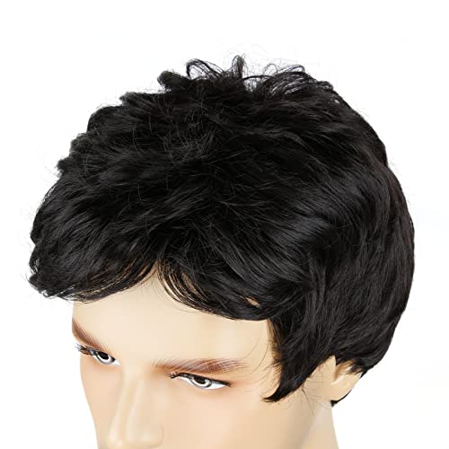 Men's Wigs,Short Mens Black Wig Layered Natural Hair Costume Halloween Heat Resistant Synthetic Wigs for Men Male - color: Natural Black