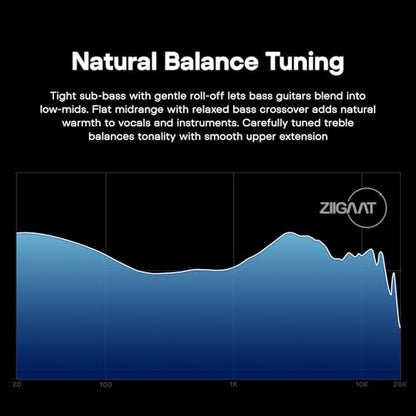 Linsoul ZiiGaat Horizon 1DD+2BA+2 Planar HiFi Wired Earbuds in Ear Monitor