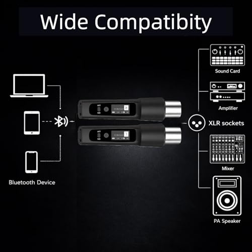 2 Pack Wireless XLR Bluetooth Receivers, High-Fidelity Audio | Bluetooth Audio Adapter for PA Speakers, Mixers & Live Sound, OLED Display, 14H Battery, 100 FT Range - size: Double