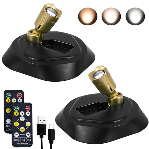 LED Spotlight with Remote, Battery Operated Picture Light Wall Lights Puck Light with Timer, Rechargeable Spot Lights with 3CTT, Dimmable Art Lights for Paintings,2 Pack - color: 3CCT-Bg