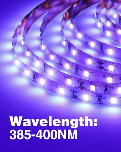 Onforu 65.6ft LED Black Light Strip, 1200 Units Lamp Beads, 12V Flexible Blacklight Fixtures, 20m LED Ribbon, Non-Waterproof Black Lights for Glow Party, Indoor Birthday Halloween Party, Body Paint - size: 20M