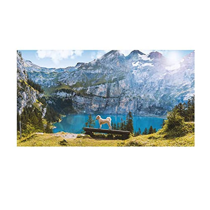 Portable 16:9 Projection Screen 60-120 Inch White Synthetic Polyester Fabric Projector Curtain Foldable, Anti-Reflective(60inch) - color: 60inch