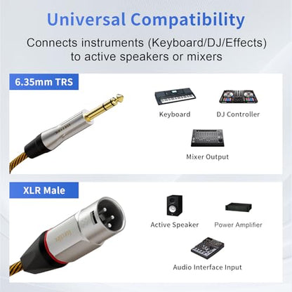 Balanced XLR to 1/4 Inch TRS Audio Cable, Pro Patch Cord for Studio Mixers & Monitors - 6.35mm to XLR Male, 10ft (3m) Signal Lossless - size: 10 Feet, style: XLR Male to 6.35mm