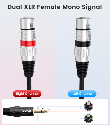 Tisino 2 Female XLR to 3.5mm TRS Y Splitter Mic Cable, Unbalanced, 3.3 FT | 3.5mm to Dual XLR Female Stereo Aux to XLR Cable for Mixer/Camera/PA System, Gold-Plated OFC Shielded HiFi Audio Y-Cord - size: 3.3 feet