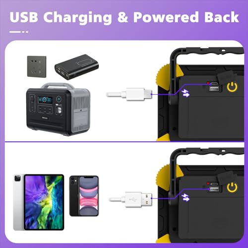 T-SUN 2 Pack Rechargeable Black Lights, Battery Powered Blacklight | 400-405nm Ultraviolet Flood Light for Night Fishing, Neon, Glow Party, Music Party, Body Painting,Fluorescent Poster - size: 40W Black Light-2 Pack