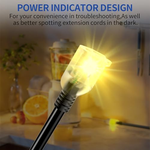 25ft Outdoor/Indoor Extension Cord with Lighted 10/3 Gauge, Black - size: 25FT