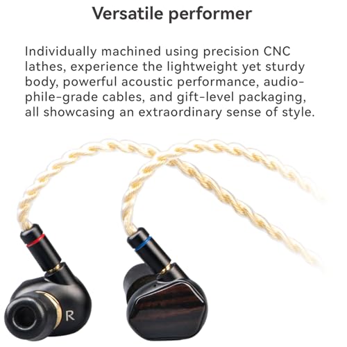 TINHIFI T7 Flagship in-Ear Monitor, Hi-Fi Earphones with 10mm Gold-Plated Dynamic Driver, Detachable MMCX Cable, Noise Isolating IEM, Premium Sound Quality for Audiophiles, Musicians - Black