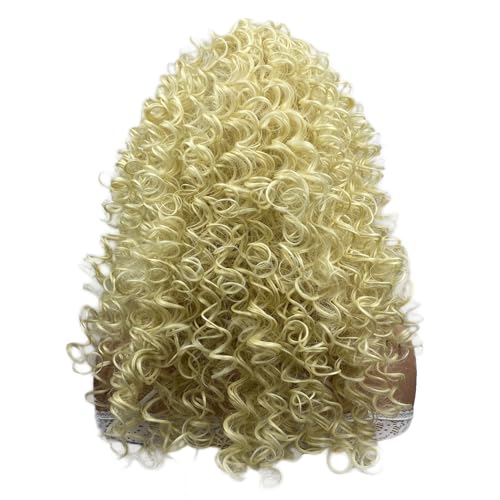 Aimole Long Curly Wigs Synthetic Heat Resistant Hair Cosplay Women Wig (613 Blonde) - color: 613 Blonde