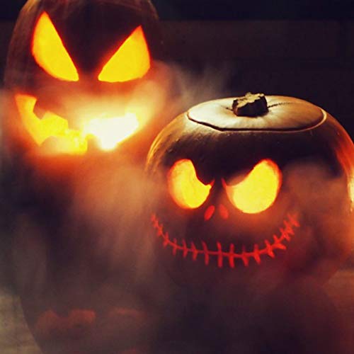 PULACO Mist Maker, 12 LED Mister Fogger Water Fountain Pond Fog Machine Atomizer Air Humidifier, Indoor Fountain Mister Foggers Perfect for Halloween