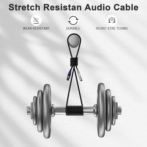 Smithok 2 Pack XLR to 1/4" Cable,Balanced 3 Pin XLR Female to 1/4 Quarter inch TRS 6.35mm Female Stereo Audio Adapter - 1 Feet (30 cm) Black