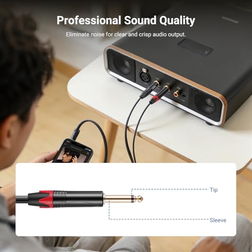 NEEWER 3.5mm 1/8 TRS to 1/4 Dual 6.35mm TS Breakout Cable, 10 ft Male to Male Stereo Audio Splitter Cord Adapter for Phone Tablet Laptop Computer Mixer Speaker Studio Monitor PA System, MS027 - size: 3.5mm（304cm）, style: Dual TS Male