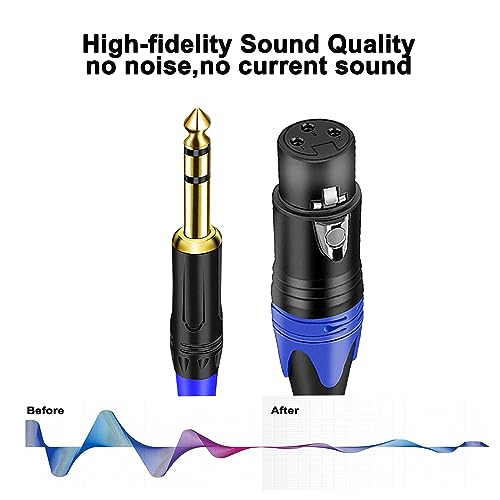 (2Pack / 10 FT) XLR to 1/4 TRS Stereo Adapter,XLR Female to 1/4 Inch (6.35mm) Balanced Microphone Stereo Audio Converter AdapterCable for Mixer Microphone Active Speakers - color: 10 feet-2Pack
