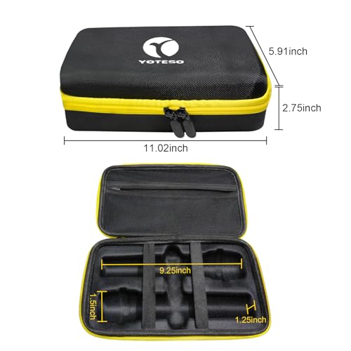 Wireless Microphone Case Only Specially Design for JBL Wireless Two Microphone System, Handheld Dual Mic Travel Bag for Singing or Karaoke for Receivers, Adapters, AA Batteries-Black(Box Only)