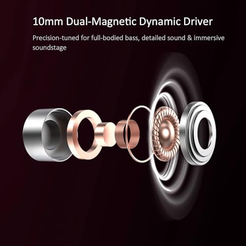 RitMoment RIT10 Pro Wired Earbuds - Balanced Sound & Rich Bass, Dual Magnetic Dynamic Driver, Ultra Comfort, in Ear Monitor IEM Earphones (Mic+Type-C Cable, Clear) - style: MIC+Type-C Cable