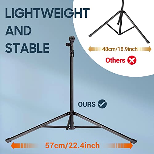 CAHAYA Sheet Music Stand Portable Folding Dual Use Holder with Stand Light | Reinforced Desktop Book Stand Lightweight Adjustable with Carrying Bag Including Music Sheet Clip Holder for Travel Practice - color: Black, style: With Light Version