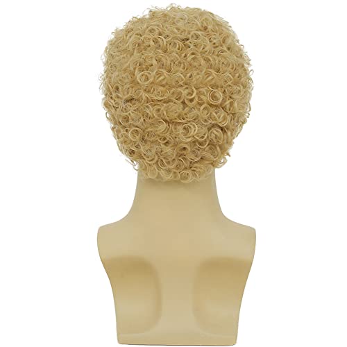 Swiking Mens Curly Afro Wigs Light Blonde Short Wig California Halloween Cosplay Replacement Wigs Rocker Wig for Male Guy(Light Blonde) - color: Light Blonde