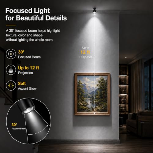 Taysing LED Spot Light Indoor Little Mini Spotlight Accent Lights for Display, Paintings, Pictures, Plants, Jewelry, Shelves, Cabinets, Posters, Showcase(Cold White-2 Pack Push Switch) - color: Cold White-2 Pack Push Switch
