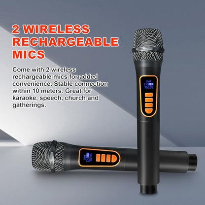 Karaoke Machine with 2 Wireless Microphones, Portable Bluetooth Speaker for Adults & Kids, Bass & Treble Adjustment, PA System Supports TF Card/USB/FM/AUX for Home Party, Indoor and Outdoor - size: 2 Mics