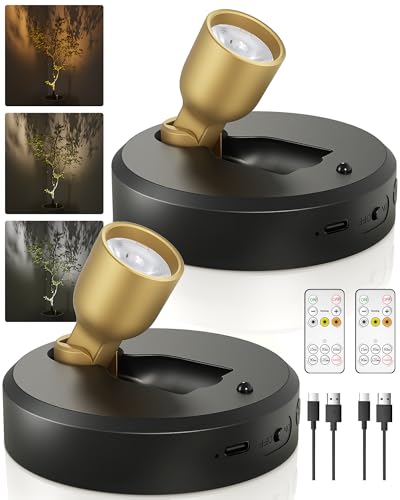 EZVALO Spot Lights Indoor, Plant Uplights, Accent Lighting | with Remote, 4000mAh Rechargeable Battery, Wireless, Timer, Dimmable, 3 Color Temps, Picture, Displays, Art, 2-Pack - color: BlackGold