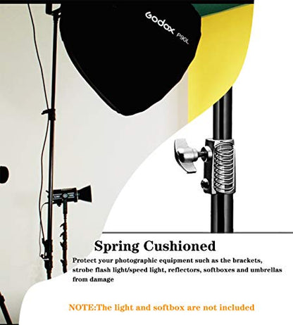 Godox 149 Inches Heavy Duty Aluminum Photography Light Tripod Stand for Aputure Ls60W 300D II Godox SL-60W SL-150II FV150 FV200 AD300PRO AD400PRO Studio Photography Lighting | Compatible with Aputure 200D 300D Godox SL60W SL150WII AD300Pro AD400Pro Studio