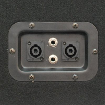 Seismic Audio - FL-10MP - Pro Audio PA/DJ 10" Monitor - 100% Birch Plywood - 250 Watts RMS each