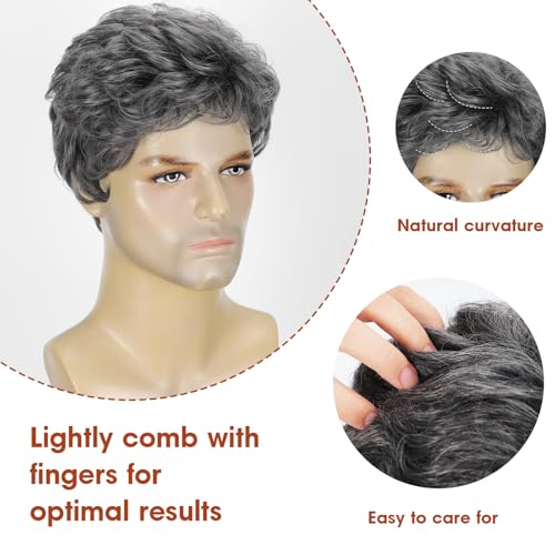 Mens Dark Grey Short Wig - Natural Looking Synthetic Hair Wig for Men Male,Heat Resistant,Layered Cut,Cosplay or Daily Wear Lightweight Male Wig - color: Dark Grey