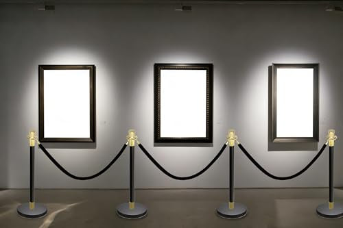 Black Stanchions and Velvet Ropes 6pcs Stainless Steel Posts | 4pcs 5ft Black Velvet Ropes Crowd Control Barriers with Durable Refillable Base for Wedding, Party & Exhibition Events - color: Black-Gold, size: 6 PCS