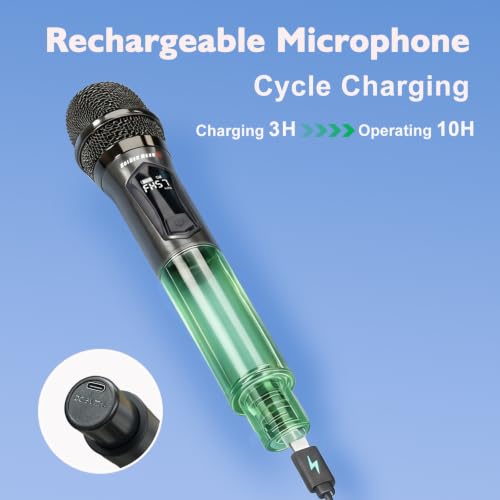 Wireless Microphone Karaoke System for TV and AUX Speaker | Supports Coaxial Optical 3.5mm AUX and Inputs, AUX or RCA Output to Speakers