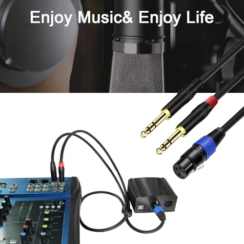 6.35mm Dual TRS to XLR Female Cable for Microphone, Mixer, Amplifier, 3.3 FT, Dual1/4 TRS Male to XLR Audio Cable, Y Splitter Patch Cord, 3-PinXLR to Dual 1/4 Converter Adapter Cable - size: 3.3Ft, 1Pack, style: Dual 1/4 to XLR Female