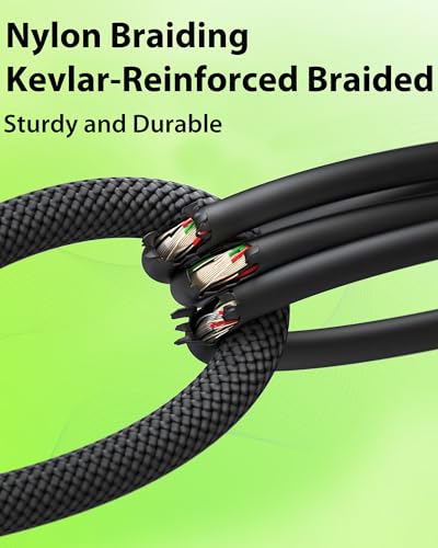 AA AUDIO ACCESSORY XLR Cables 10ft, 21AWG OFC Dual Shielded Mic Cord - size: 10ft, 1 Pack, style: Basic Series, REAN
