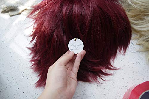 LABEAUTÉ Short Dark Red Anime Cosplay Wig Male Men Anime Layered Unisex Heat Resistant Hair Wig with Bangs for Party and Halloween for Gift + Free Cap - color: Dark Red