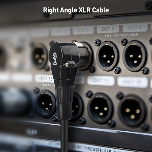 Cable Matters 2-Pack Right Angle XLR Microphone Cable, 10ft | Oxygen-Free Copper (OFC), Right Angle Mic Cord, Black - size: 10ft