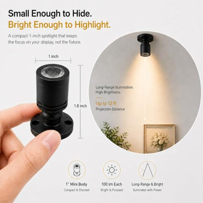Taysing LED Spot Light Indoor Little Mini Spotlight Accent Lights for Display, Paintings, Pictures, Plants, Jewelry, Shelves, Cabinets, Posters, Showcase(Cold White-2 Pack Push Switch) - color: Cold White-2 Pack Push Switch