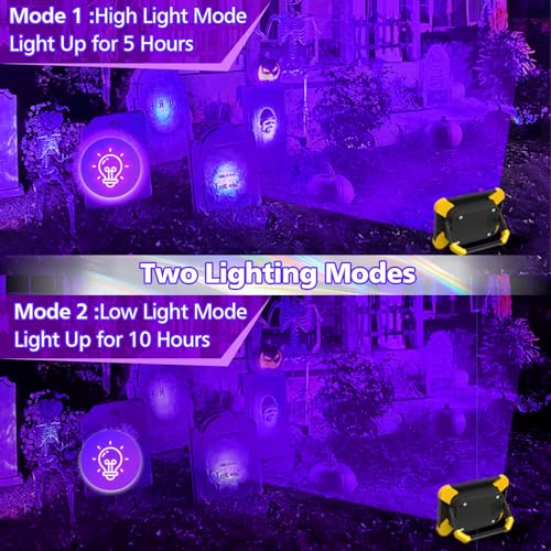 T-SUN 2 Pack Rechargeable Black Lights, Battery Powered Blacklight | 400-405nm Ultraviolet Flood Light for Night Fishing, Neon, Glow Party, Music Party, Body Painting,Fluorescent Poster - size: 40W Black Light-2 Pack