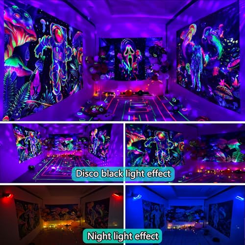 2 in 1 Disco Black Light Glow Party Lights,10W UV Disco Ball Light with Sound Activated Strobe Light Halloween Dj Party Lights Indoor for Halloween Christmas Birthday Party Dancing Decoration, 1 Pack