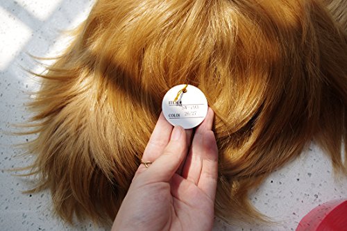 LABEAUTÉ Short Ash Brown Anime Cosplay Wig Male Men Anime Layered Unisex Heat Resistant Hair Wig with Bangs for Party and Halloween for Gift + Free Cap - color: Ash Brown