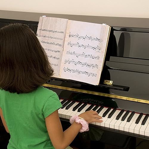 10 Pcs Music Stand Clips, Clear Acrylic Music Book Stand Page Holder Clip Piano Book Holder Clips for Wind for Musician Composer Pianist Outdoor Gig Rehearsal Easy Reading