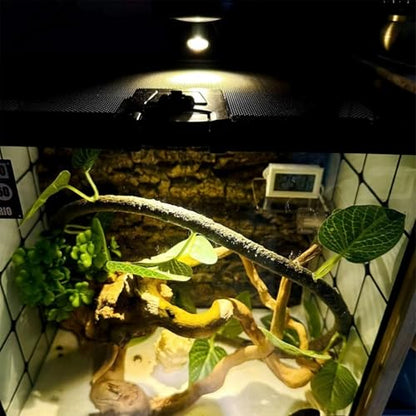5V 조도 조절 가능한 LED 미니 스포트라이트, 2m(6.5피트) 케이블, 주얼리/실내 그림/예술/모델 디스플레이 조명, 주얼리 캐비닛, 입구, 테이블 선반용 USB 전원 스포트라이트(웜 화이트 3000K, 4팩) - color: 웜 화이트 3000K, size: 4팩