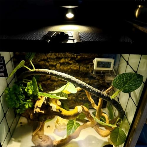 5V 조도 조절 가능한 LED 미니 스포트라이트, 2m(6.5피트) 케이블, 주얼리/실내 그림/예술/모델 디스플레이 조명, 주얼리 캐비닛, 입구, 테이블 선반용 USB 전원 스포트라이트(포지티브 화이트 6000K, 4팩) - color: 포지티브 화이트 6000K, size: 4팩