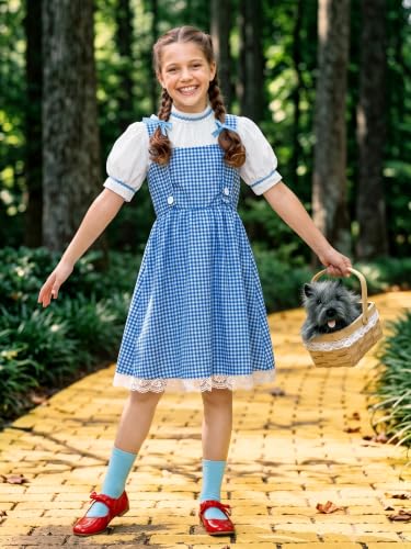 Girls Halloween Blue Gingham Costume | Multi-Piece Set, Book Character Style, Adjustable Front Straps, Puff-Sleeve Dress - color: Blue White (5 Pcs), size: 8 Years