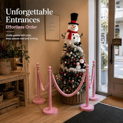 6 Pack Pink Stanchions and Velvet Ropes Set, Stainless Steel Crowd Control Barriers, 3Pcs Pink Ropes and Poles for Party Supplies,Prom,Birthday,Business,Wedding,Baby Shower, Bridal Shower,Anniversary - color: Pink, size: 6pcs