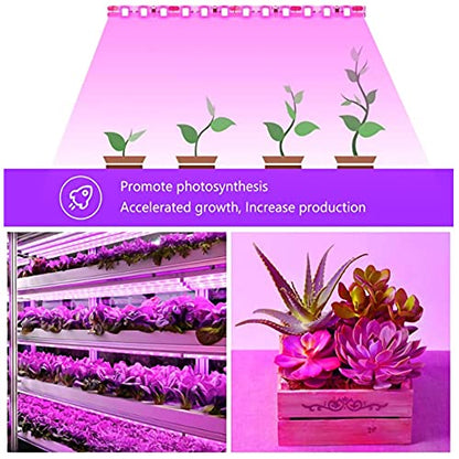 LED Grow Light Strips,Waterproof Full Spectrum Plant Grow Light, USB 13.12ft 240LEDs, Flexible Growing Lamp for Indoor Plants Succulents Hydroponics Greenhouse Gardening - size: 4M