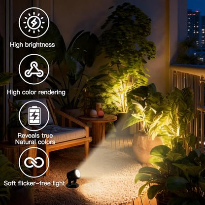 TAYSING LED Spotlight Indoor 5W USB Powered 360 Degree Rotating Mini Display Accent Light for Pictures Paintings Plants Shelves Cabinet Showcase, 2 Pack Soft White 3000K - color: Soft White
