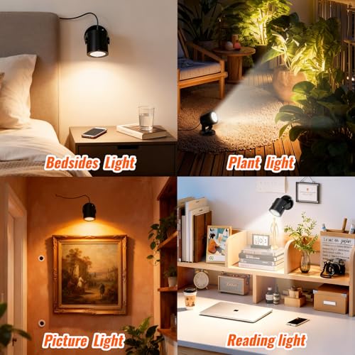 TAYSING LED Spotlight Indoor 5W USB Powered 360 Degree Rotating Mini Display Accent Light for Pictures Paintings Plants Shelves Cabinet Showcase, 2 Pack Neutral White 4000K - color: Neutral White